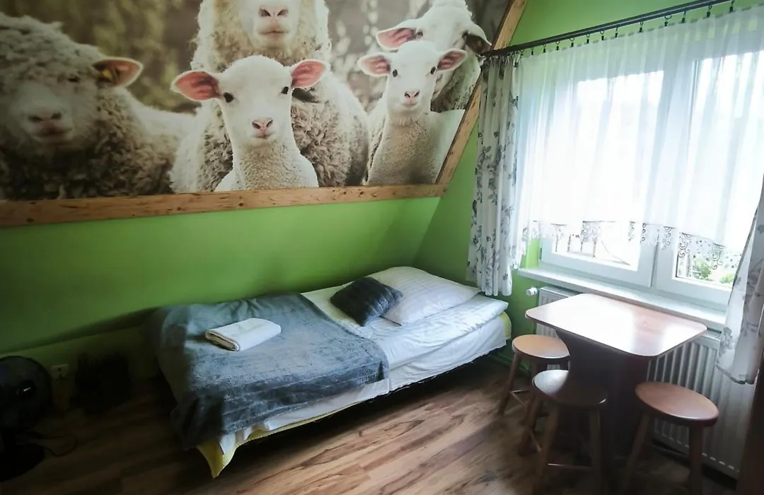 Pokoje i Apartamenty Regionalny Styl ul Króle 1a Zakopane-1